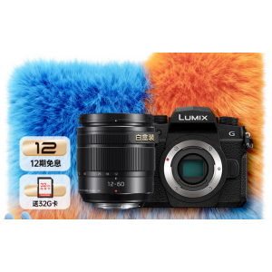 Panasonic Lumix G97 Micro Four Thirds (M43) Mirrorless Digital Camera with M43 Mount